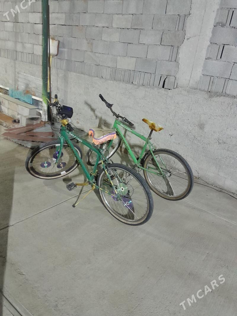 ТИГИР - Çoganly - img 1