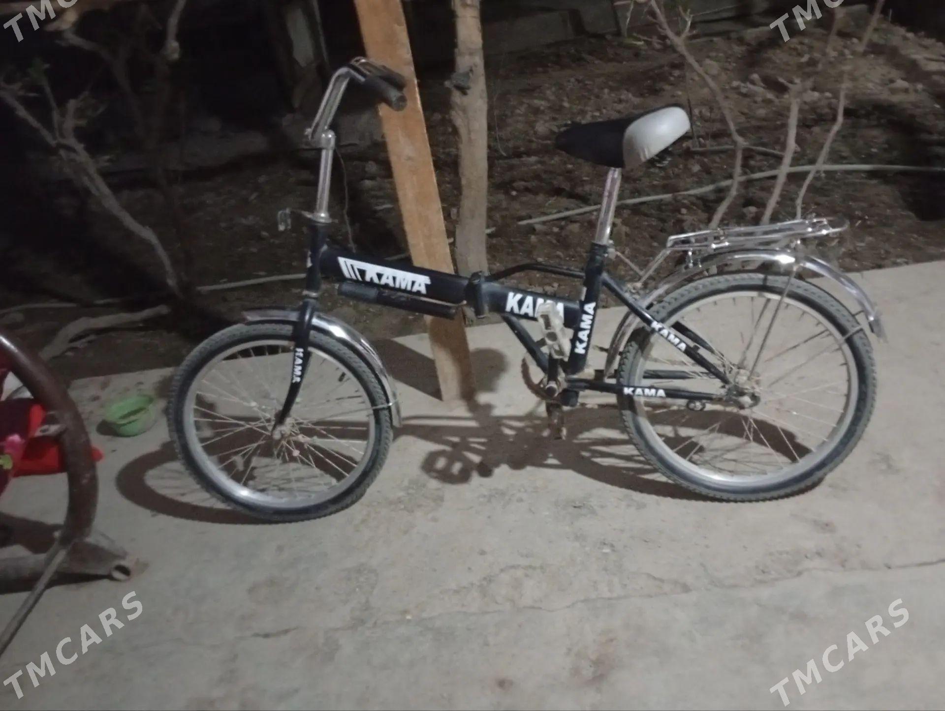 tigir - Gurbansoltan Eje - img 1