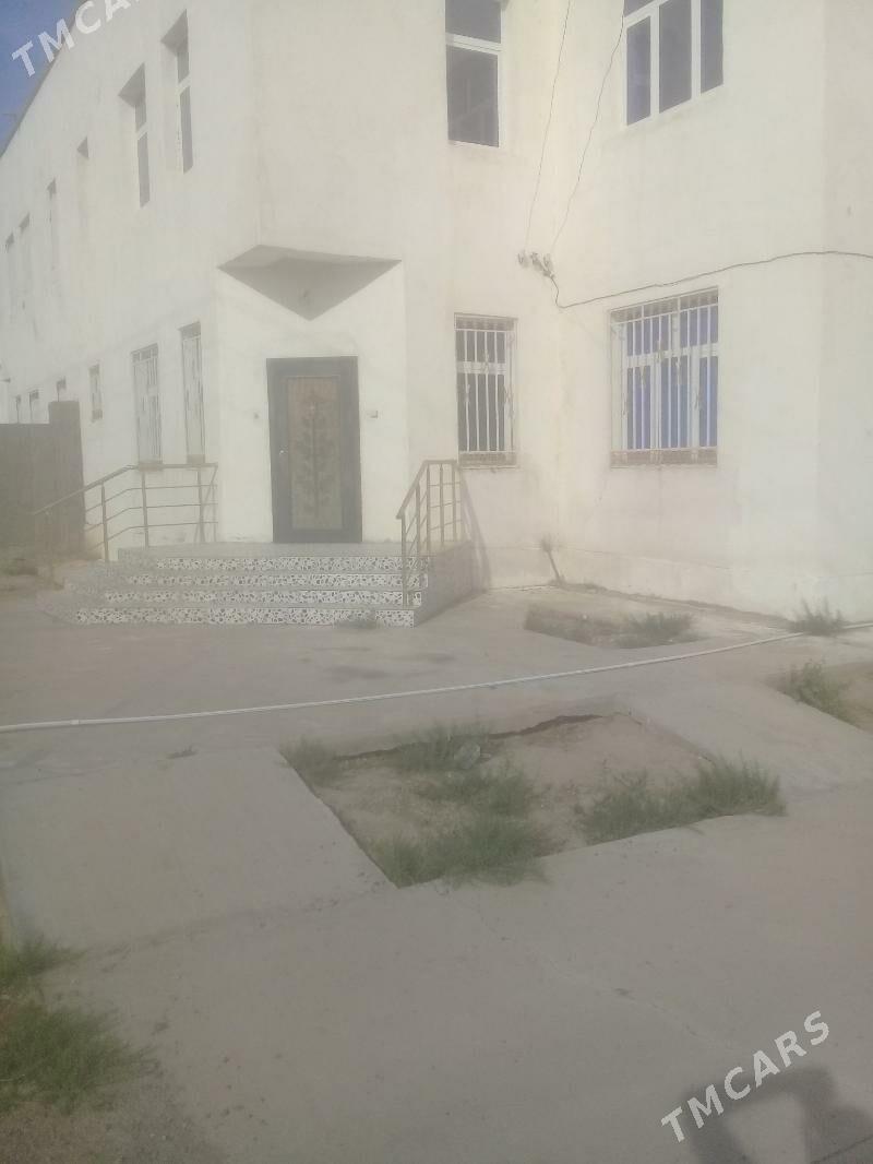 kateź elitge - Sarahs - img 1