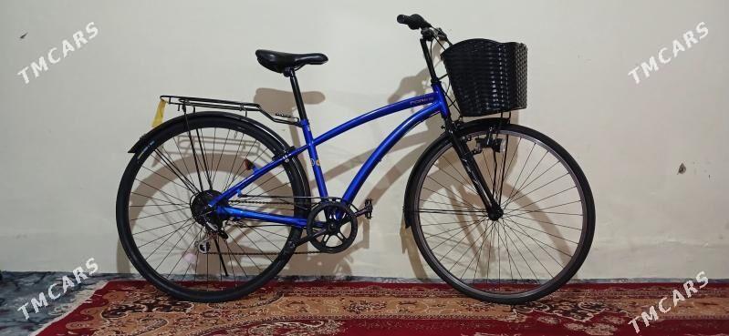 tigir - Büzmeýin - img 1