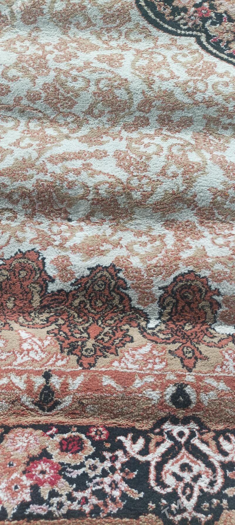 Haly - Ýaşlyk - img 1