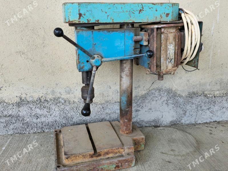 Tokurdirel - Magtymguly - img 1