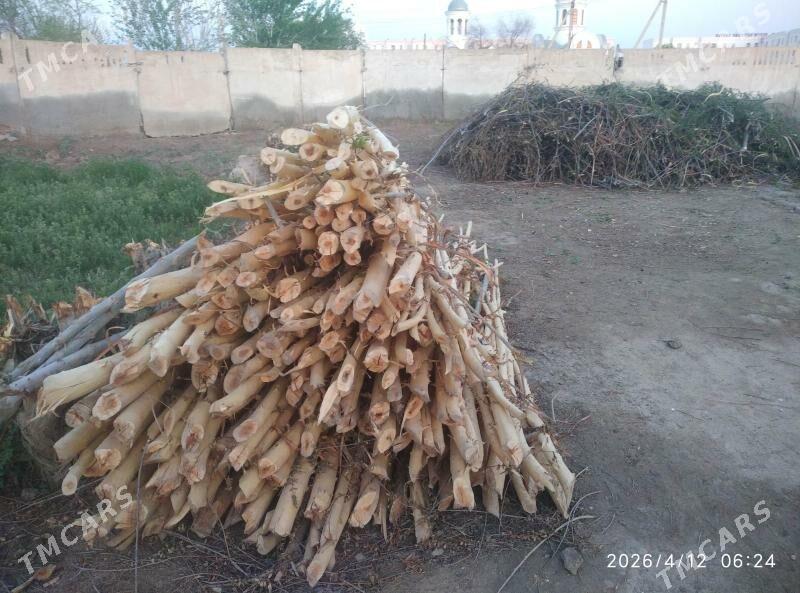 хада - Daşoguz - img 1