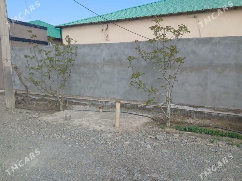 Elitka jay - Бахарден - img 1