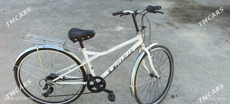 Ýaponskiy tigir - Aşgabat - img 1