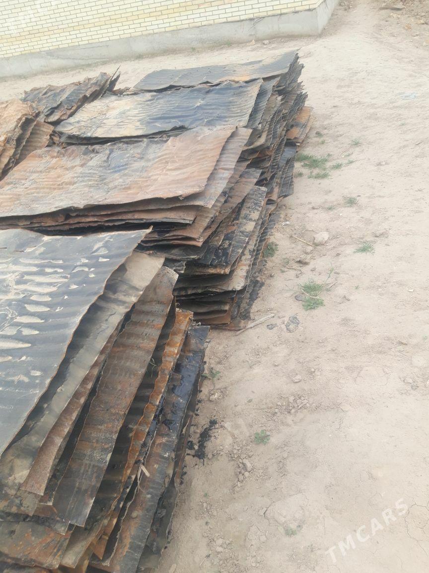 Gamyş - Сакарчага - img 1