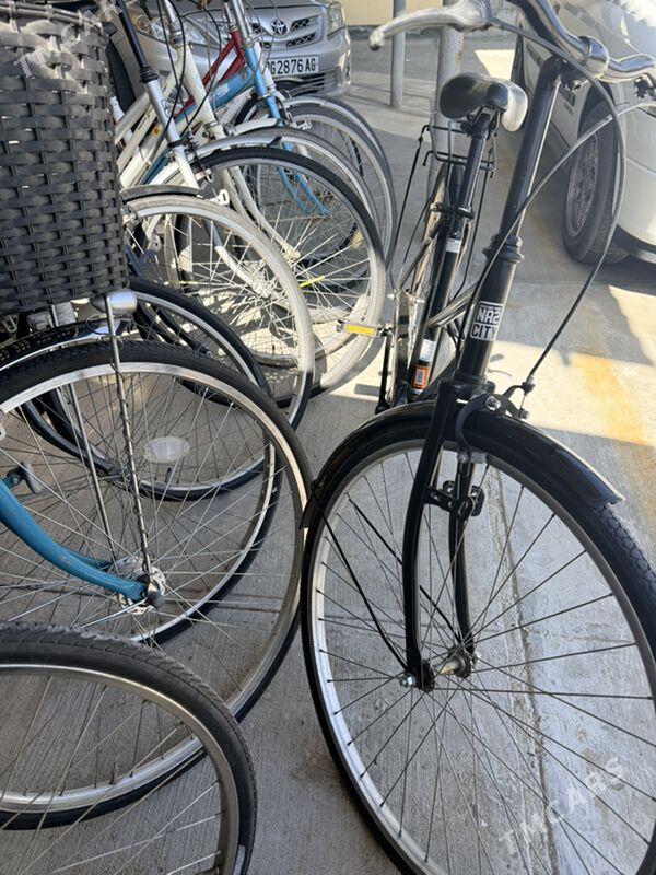 Ýapon tigir - Gypjak - img 1