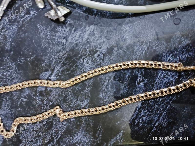 gyzyl kardinal - Шабатский этрап - img 1