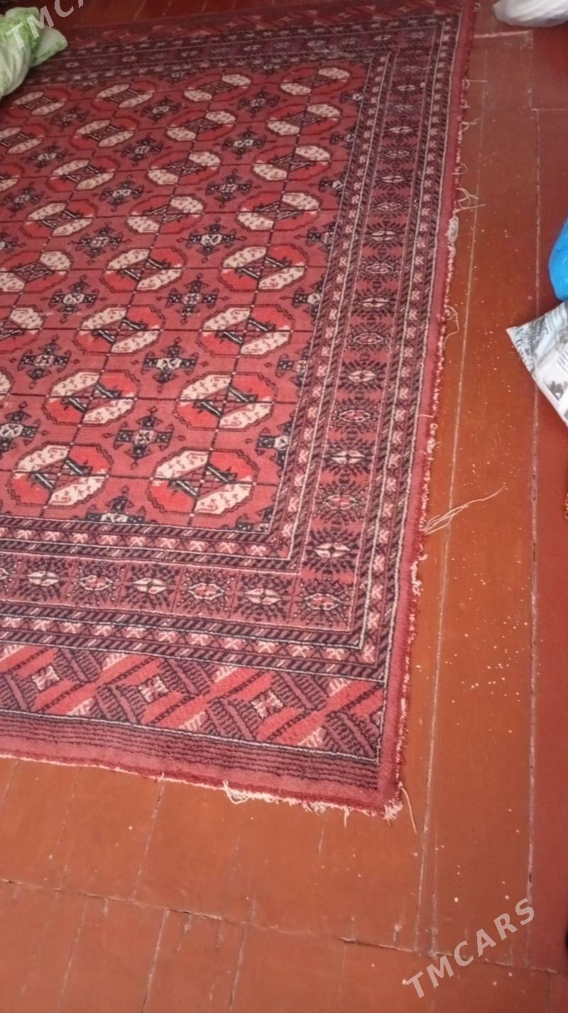 haly - Туркменбаши - img 1