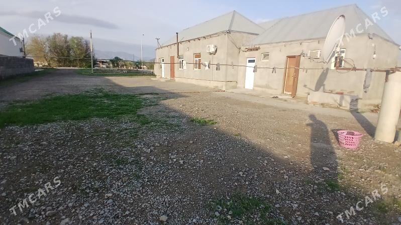 jay - Бахарден - img 1