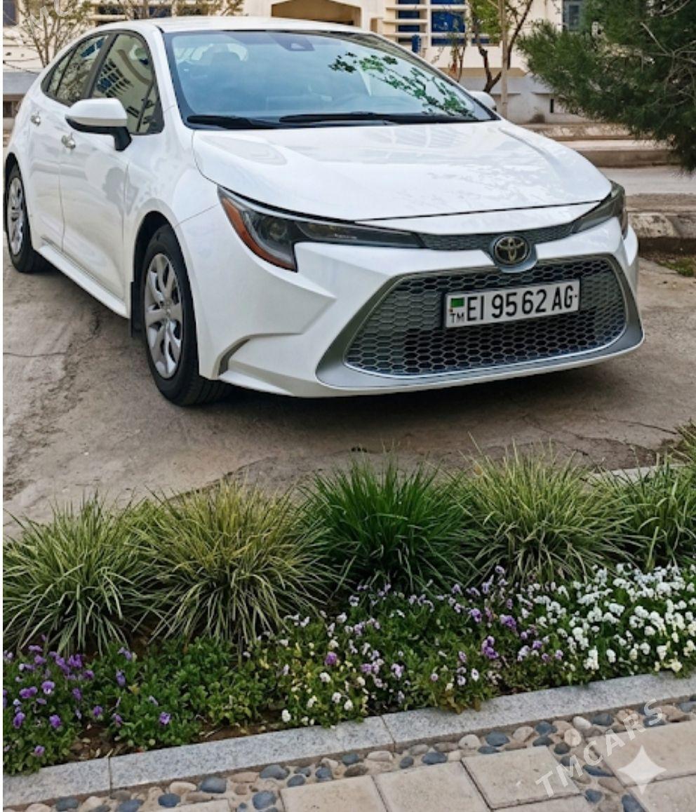 Toyota Corolla 2020 - 230 000 TMT - Aşgabat - img 1