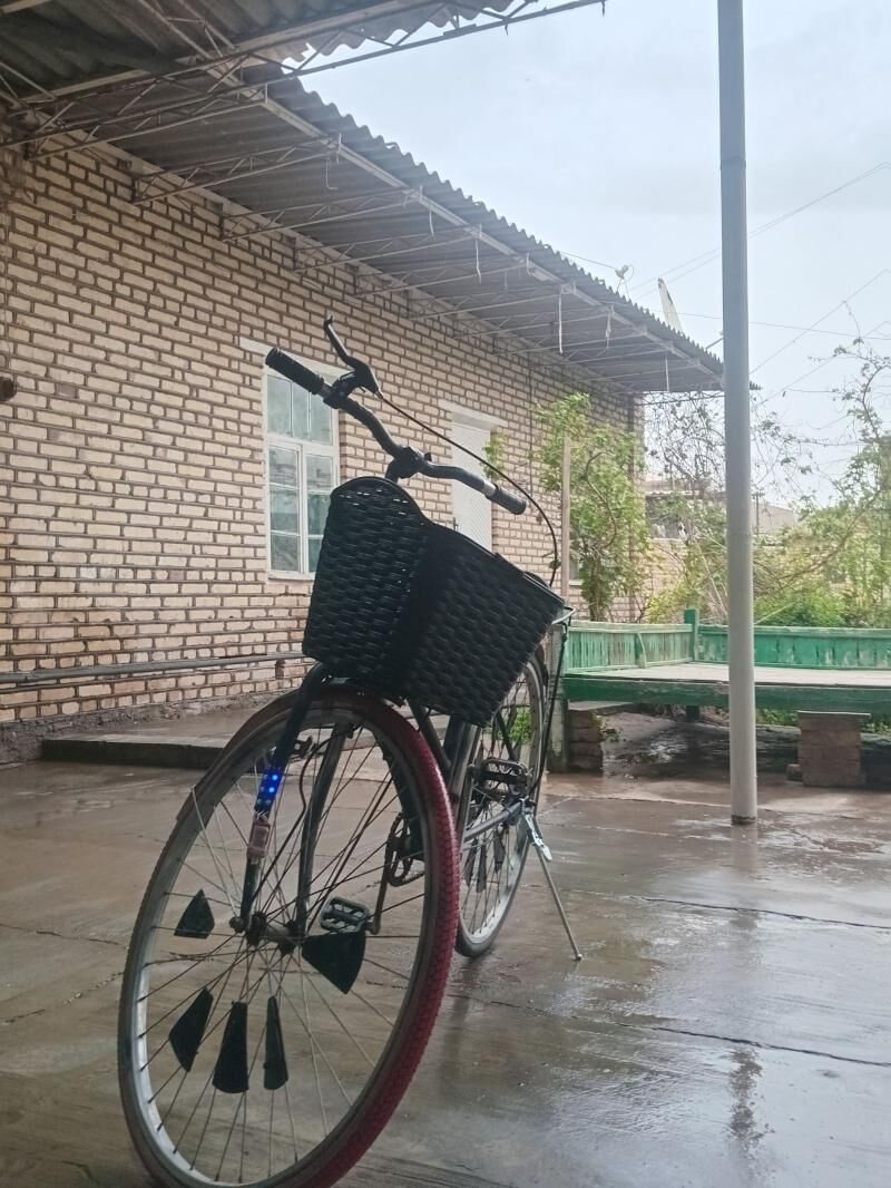 26lyk tigir - Мургап - img 1