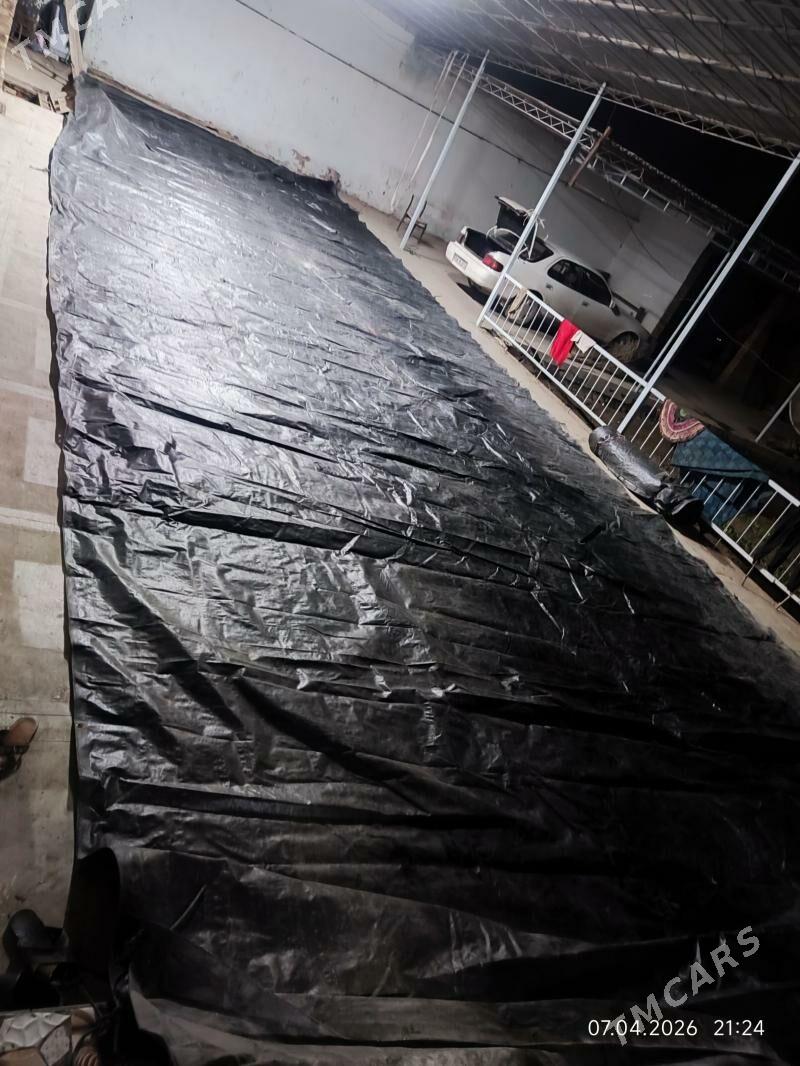 ŷapynja palatga - Sakar - img 1