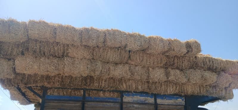 saman - Aşgabat - img 1