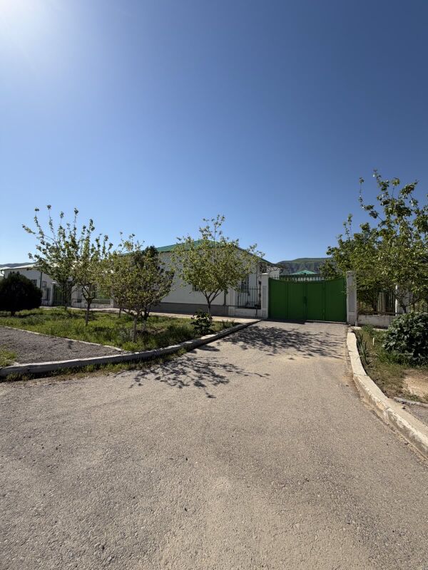 BEREKETLI ZAMAN 3 KOMNAT - Ak bugdaý etraby - img 1