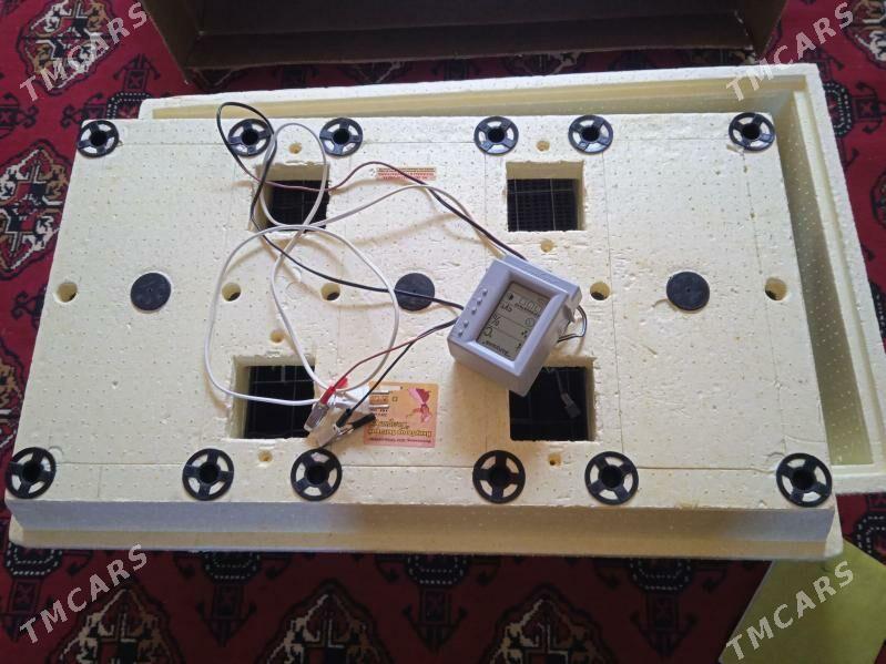 inkubator zolushka - Şabat etr. - img 1