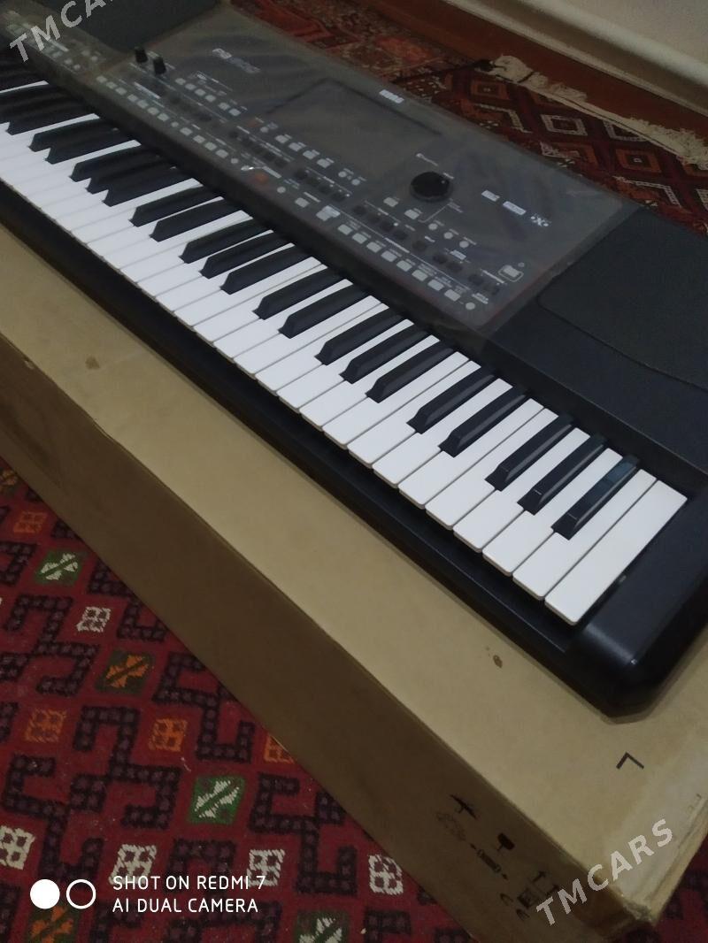 Korg pa 600 - Gubadag - img 1