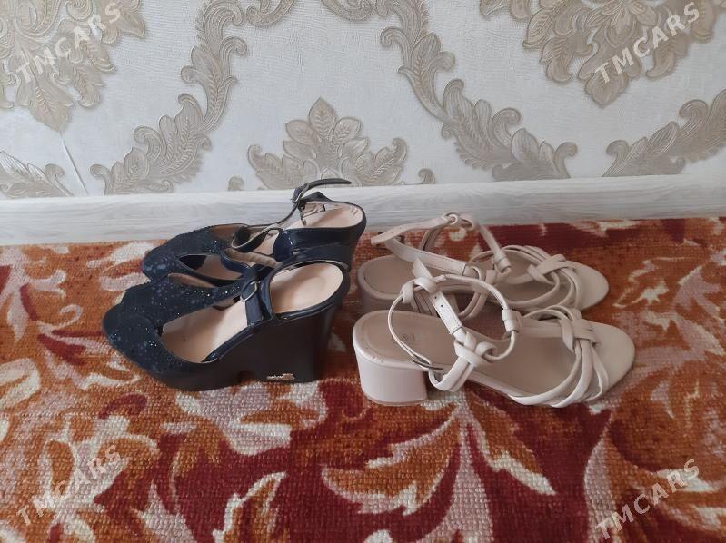 басаношгалар - Туркменабат - img 1