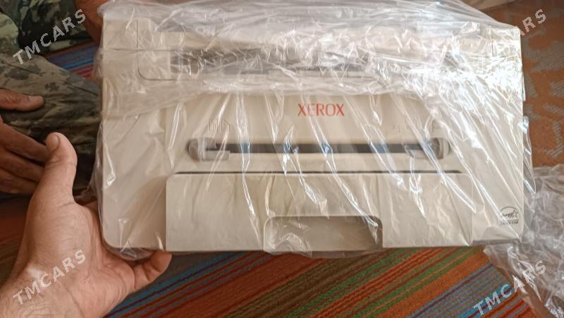 kserekopiya - Бедев - img 1