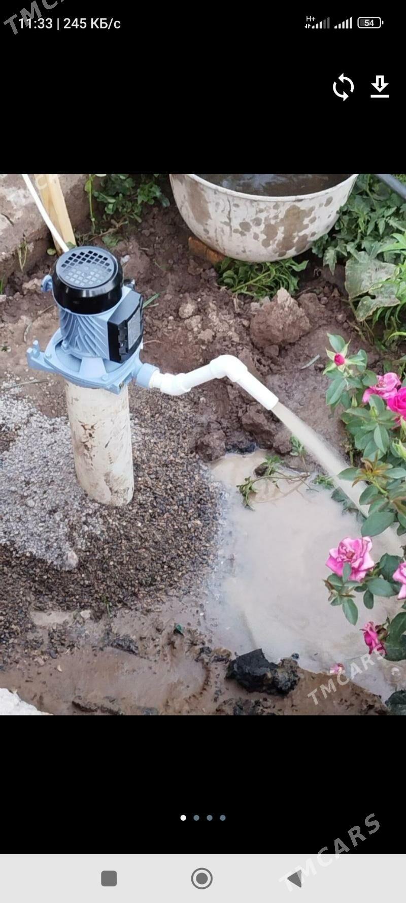 guyy gazmak - Mary - img 1