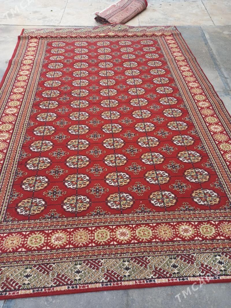 Haly - Baýramaly - img 1