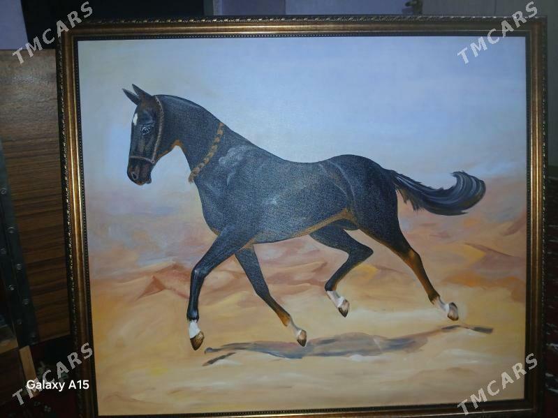 "Türkmen bedewi" cekilen surat - Daşoguz - img 1