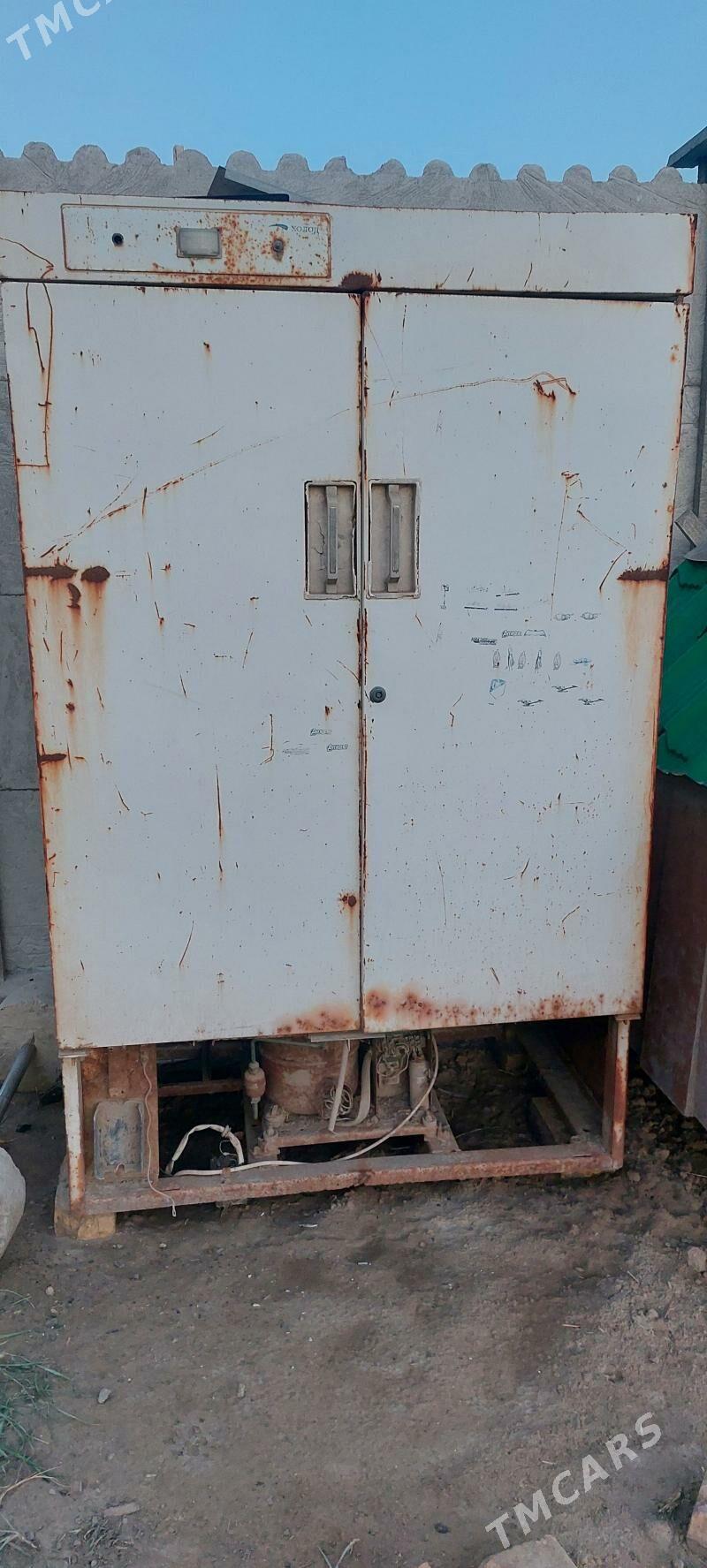 Haladilnik kone - Сакарчага - img 1