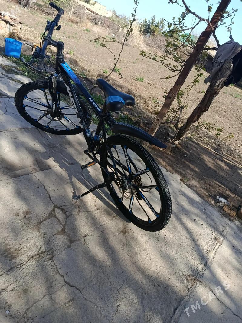 tigir - Garabekewül - img 1