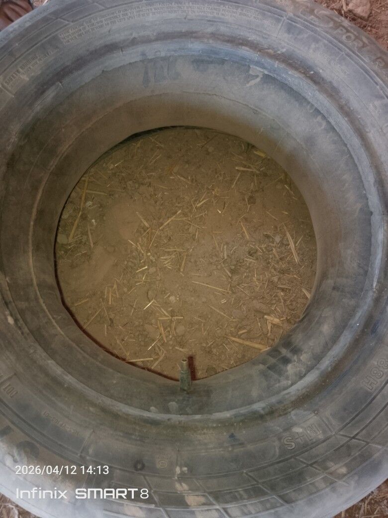 kamyr 65 TMT - Görogly (Tagta) - img 1