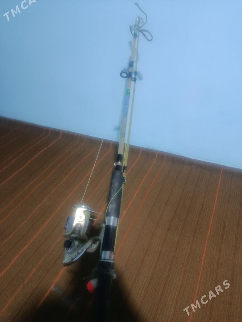 spinnin - Дянев - img 1