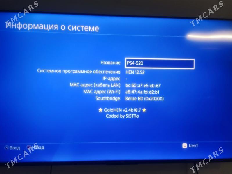 Plasdeysin 4 slim 12 52 - Mary - img 1