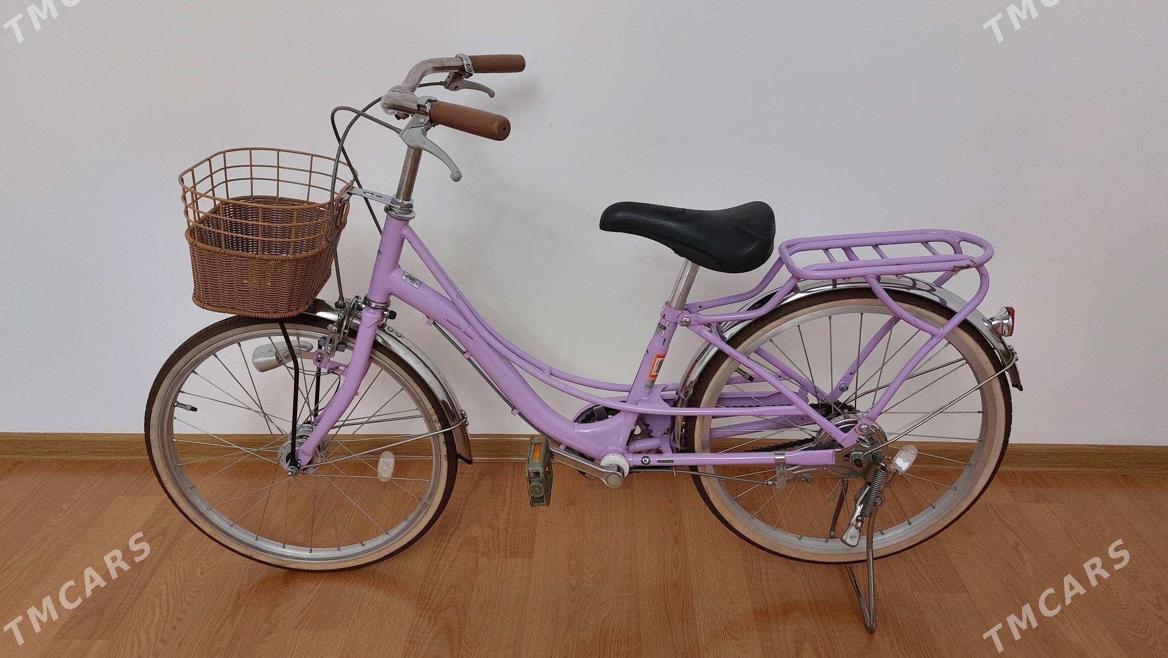 Tigir welisoped - Чоганлы - img 1