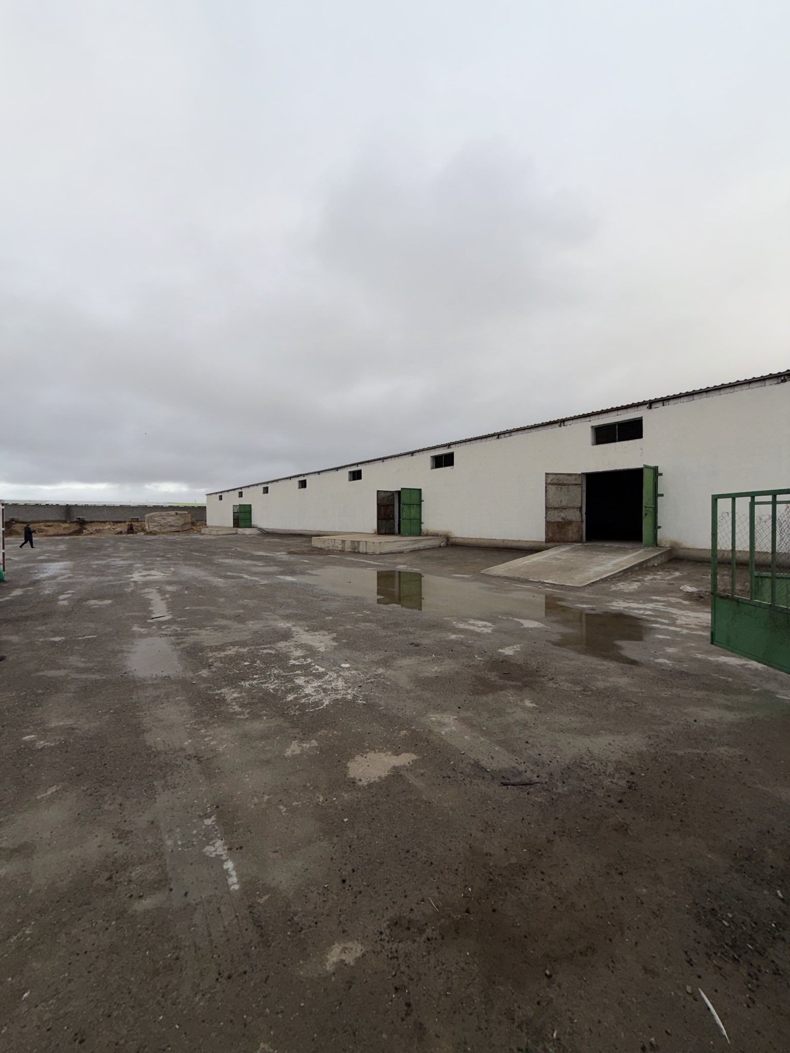 1 GEKTAR YER AMMAR - Änew - img 1