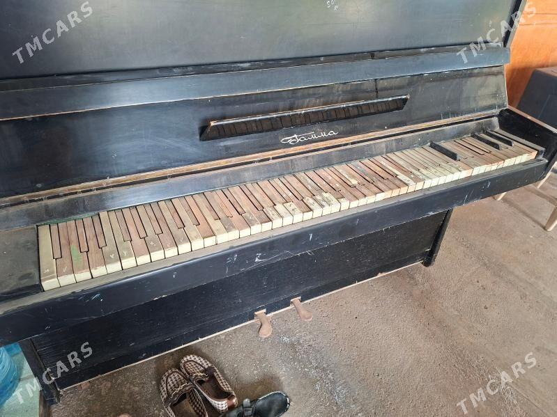 pianino - Туркменабат - img 1