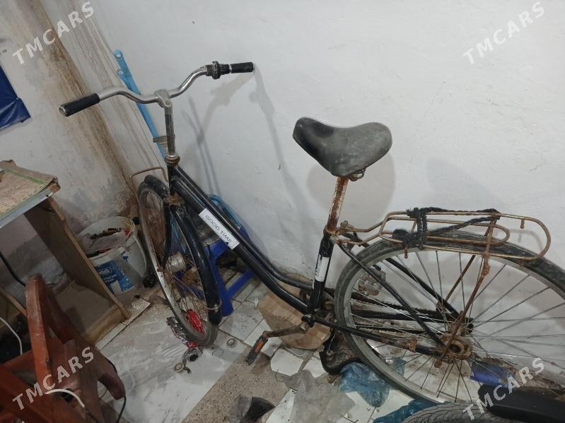 welik 27 - Mary - img 1