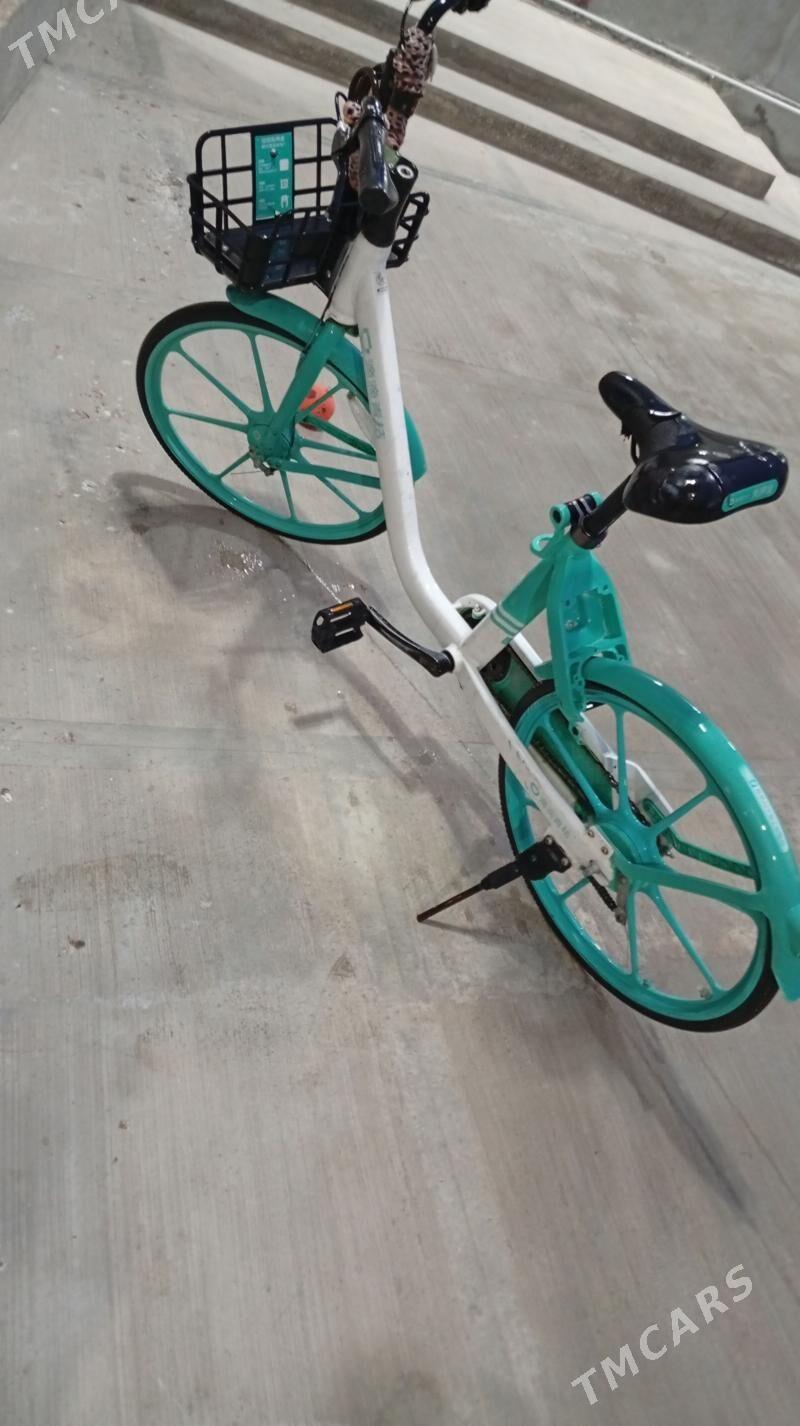 Tigir - Çoganly - img 1