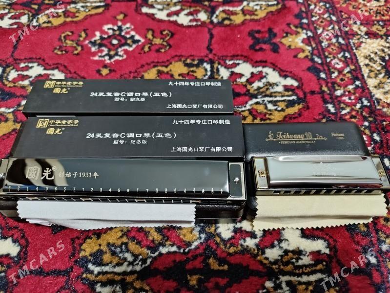 Harmonica garmonika - Aşgabat - img 1
