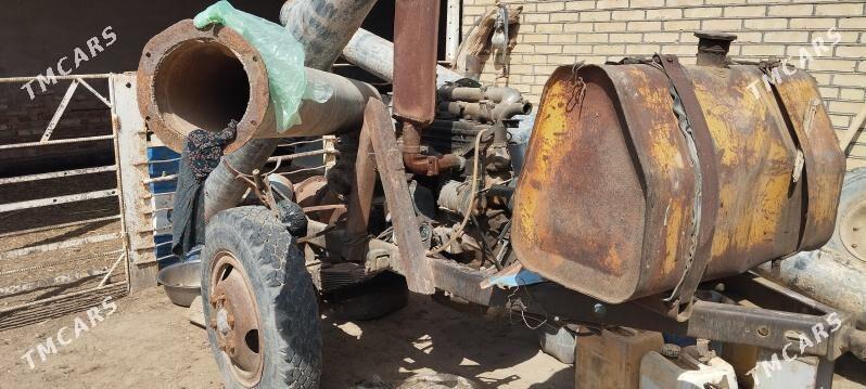 nasos - Mary - img 1