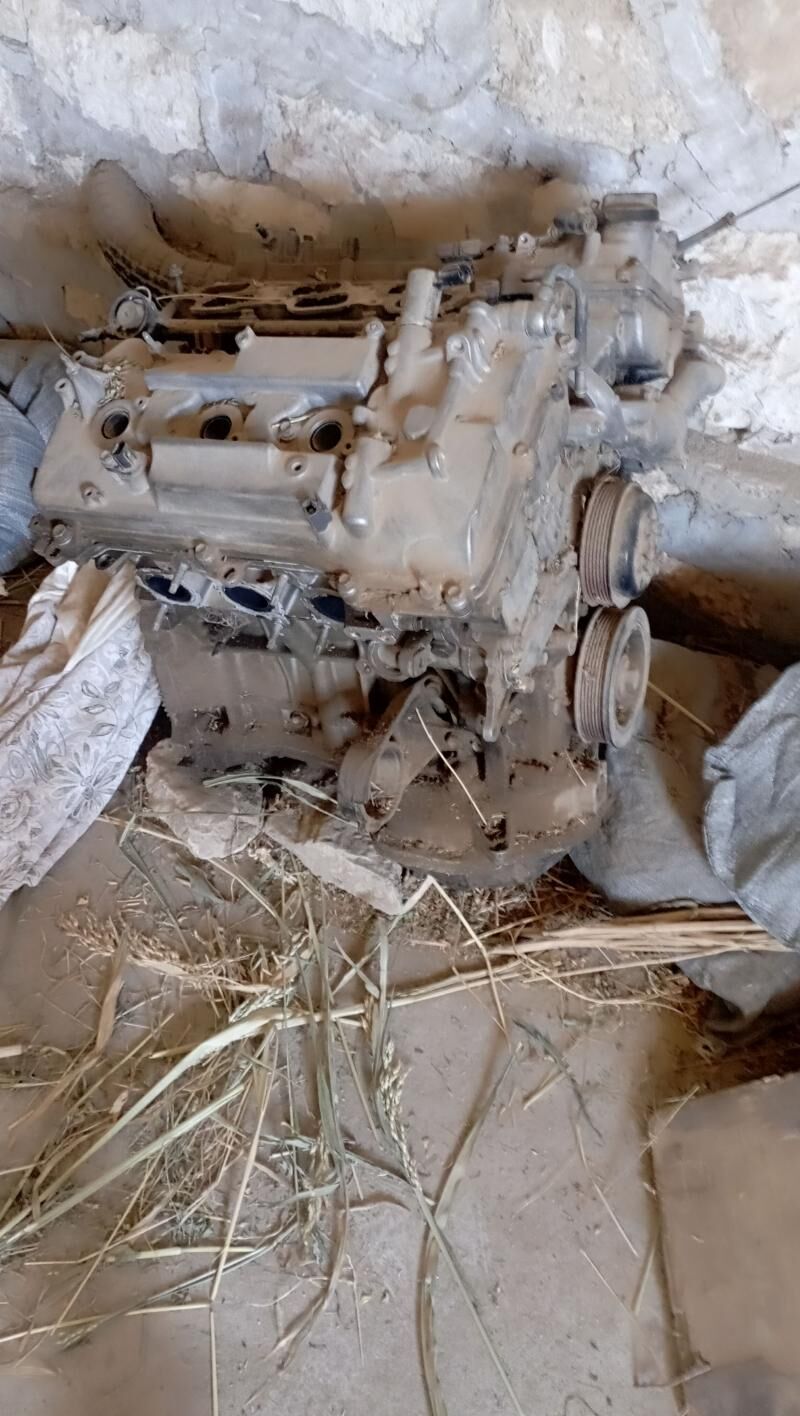 Digwitel mator 3.5 17 000 TMT - Достлук - img 1