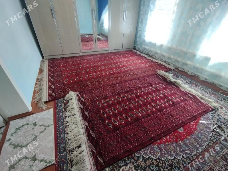 Haly - Гызыларбат - img 1