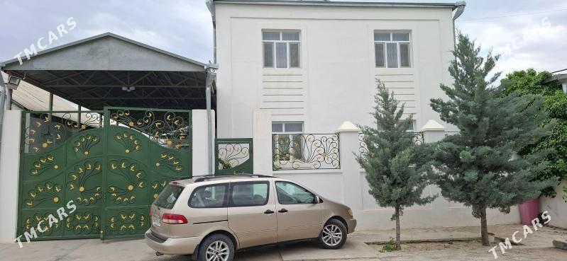 Anew kattez - Änew - img 1