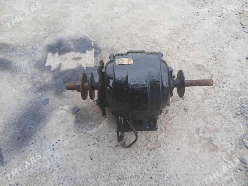 Taçyla  /380/ vol isleyan - Яшлык - img 1