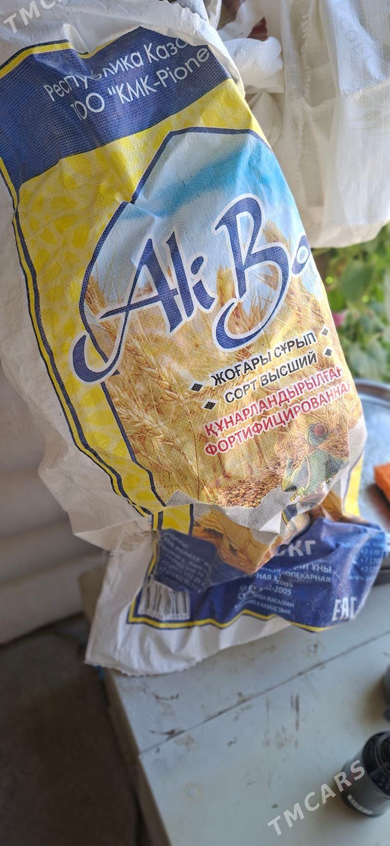 Un dan bossan halta ba - Aşgabat - img 1