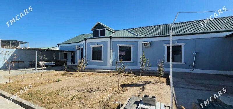 Bagyr Mirewe Plan Jay - Bagyr - img 1