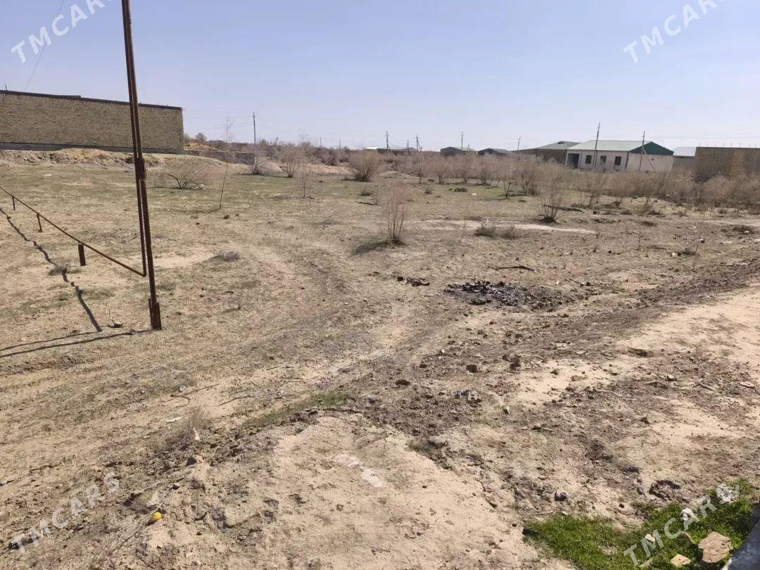 Boş mellek - Чарджоу - img 1