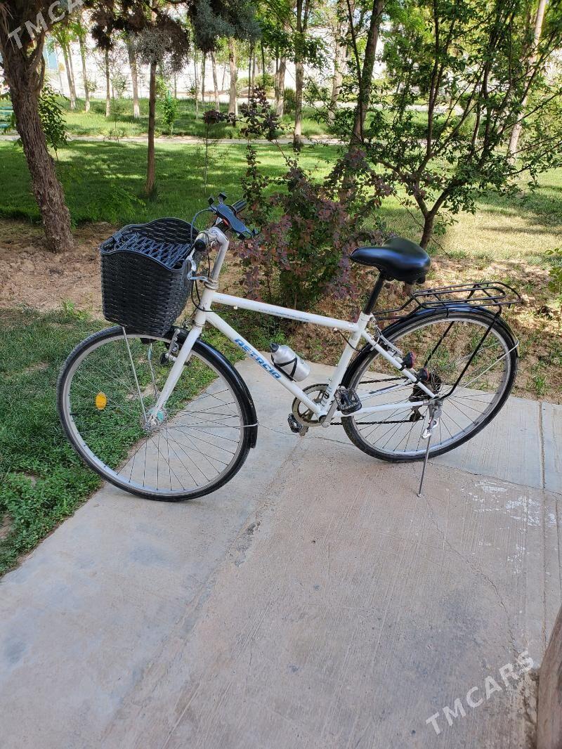 27 Welsapet - Mary - img 1