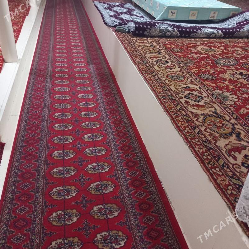 Halylar - Дашогуз - img 1