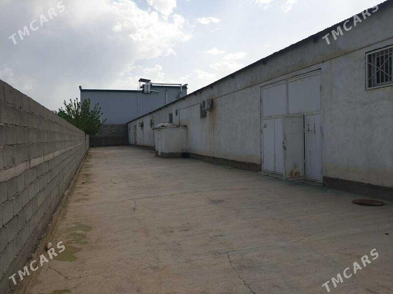 sklat - Büzmeýin - img 1