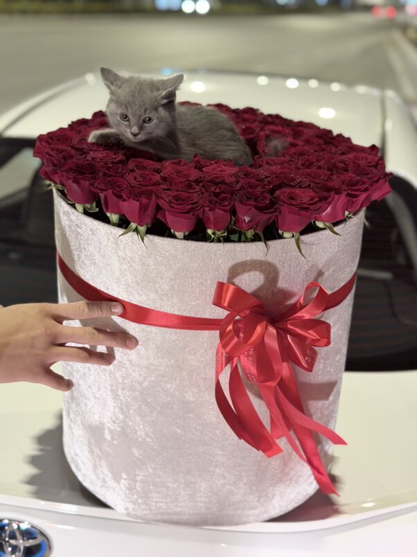 Gül dastawka 7/24 - Aşgabat - img 1