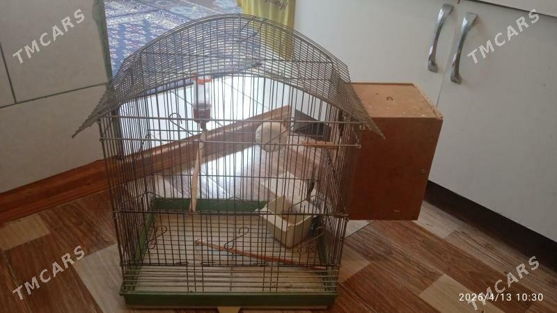 Клетка--для*Птичек - Howdan "A" - img 1